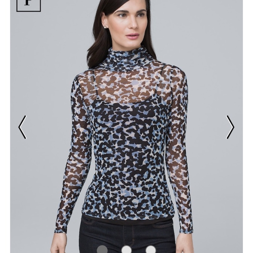 Sheer turtle neck